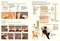 Crafting Leather Totes, Backpacks & Bags: Detailed Patterns & Step-by-Step Instructions for 18 Projects